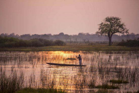 Wasserstand im Okavango Delta - Mann in einem Mokoro