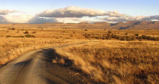 Mountain Zebra National Park