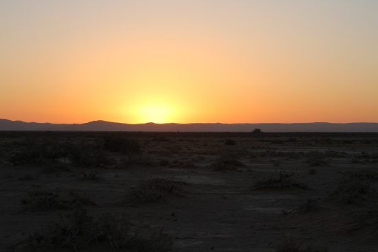 Sunset in the Kalahari in Namibia