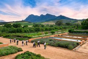 Jardiniers dans les allées fleuries du jardin de Babylonstoren.