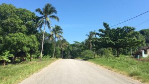 Route et road-trip à Zanzibar - Tanzanie