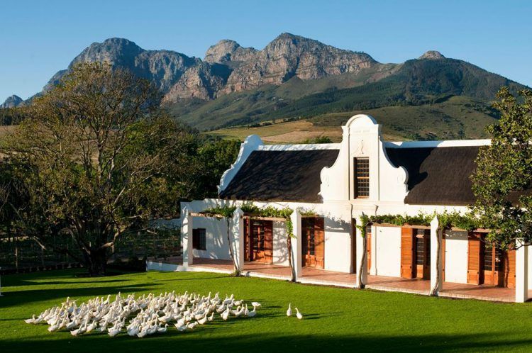 Manoir Cape Dutch architecture et montagnes à Babylonstoren