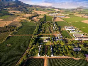 Prise de vue aérienne du domaine et jardin verdoyant de Babylonstoren