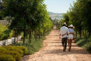 Promenade romantique à deux dans les allées fleuries du jardin de Babylonstoren.