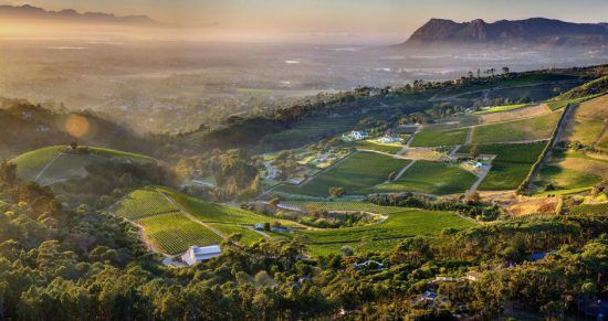 A vista dos vinhedos de Constantia Glen