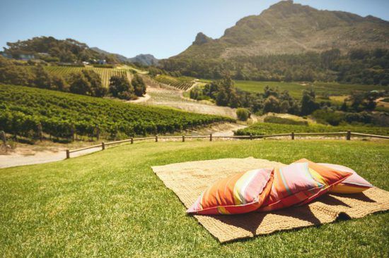 Sitting on the lawn at Constantia Glen