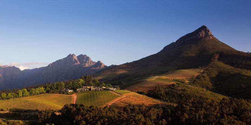 Los viñedos del Cabo: el mejor lugar para catar vino