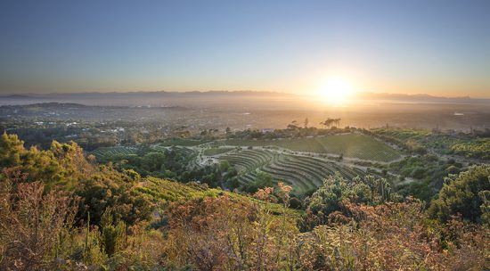 The view from Eagles' Nest wine tasting