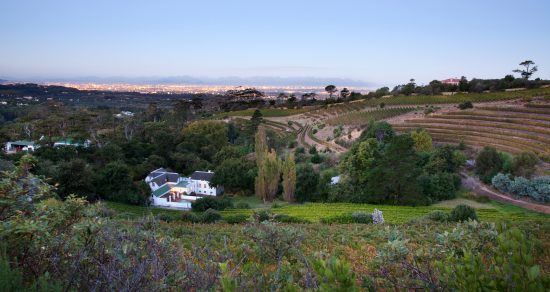 The view of Eagles' Nest winery