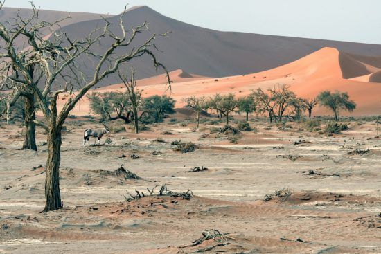 Wüste Namibia