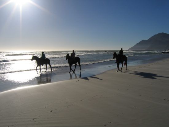 Horse riding on Noordehoek Beach