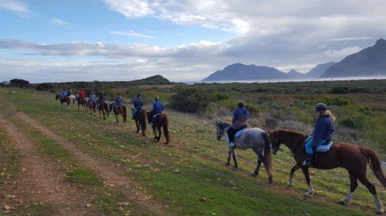 Horse riders making their way to Noodhoek Beach in Cape Town