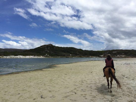 Horse riding on Noodhoek Beach with Imoff Equestrian Centre