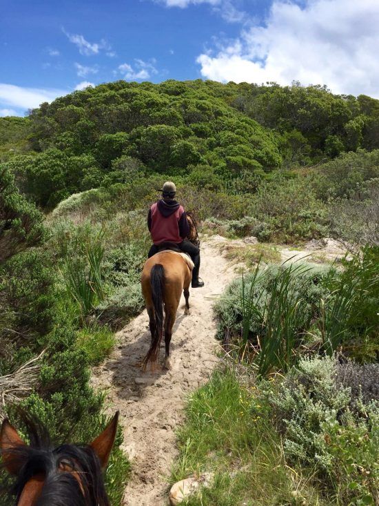 Horse riding in the dunes of Noodhoek Beach