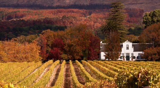 Weinfarm im Herbst