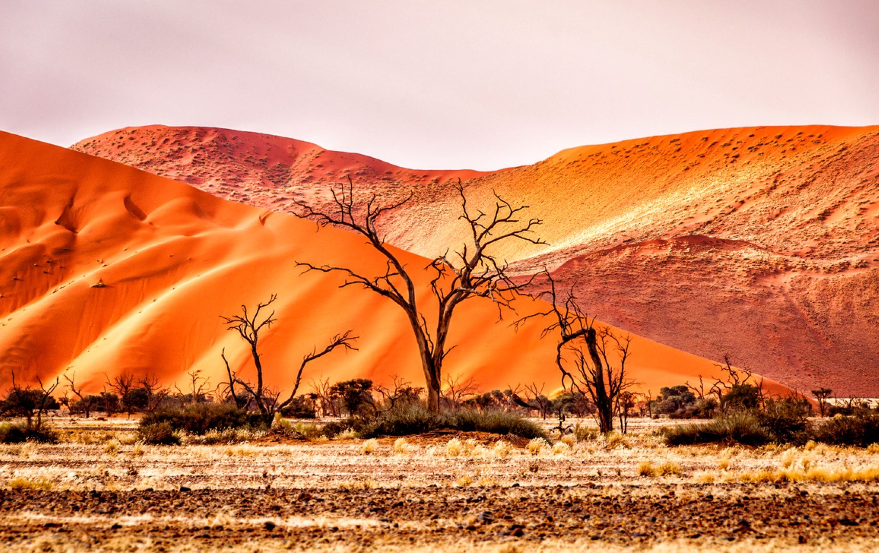 Los colores de Namibia, marcados en cada paisaje