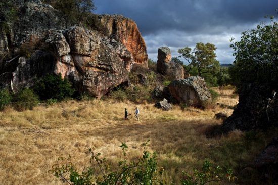 Buschwanderung in Simbabwe