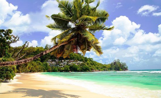 Traumhafter Strand mit Palme am türkisblauen Meer in den Seychellen