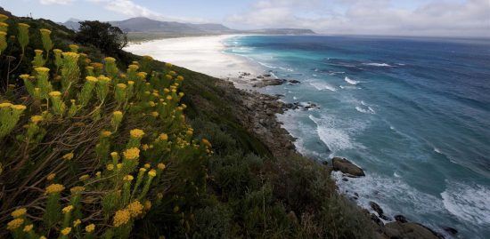 Noodhoek Beach in Cape Town