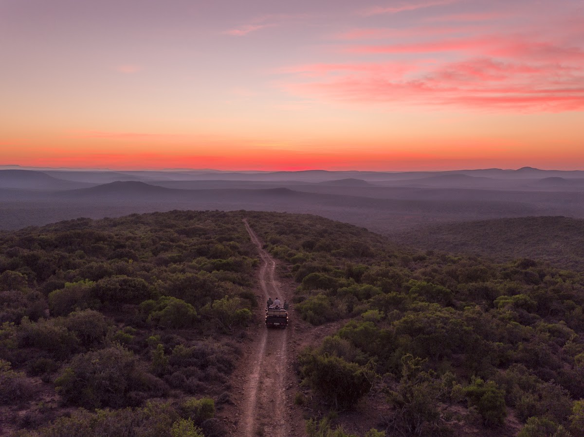 Voiture tout-terrain en safari à travers la savane, Afrique du Sud