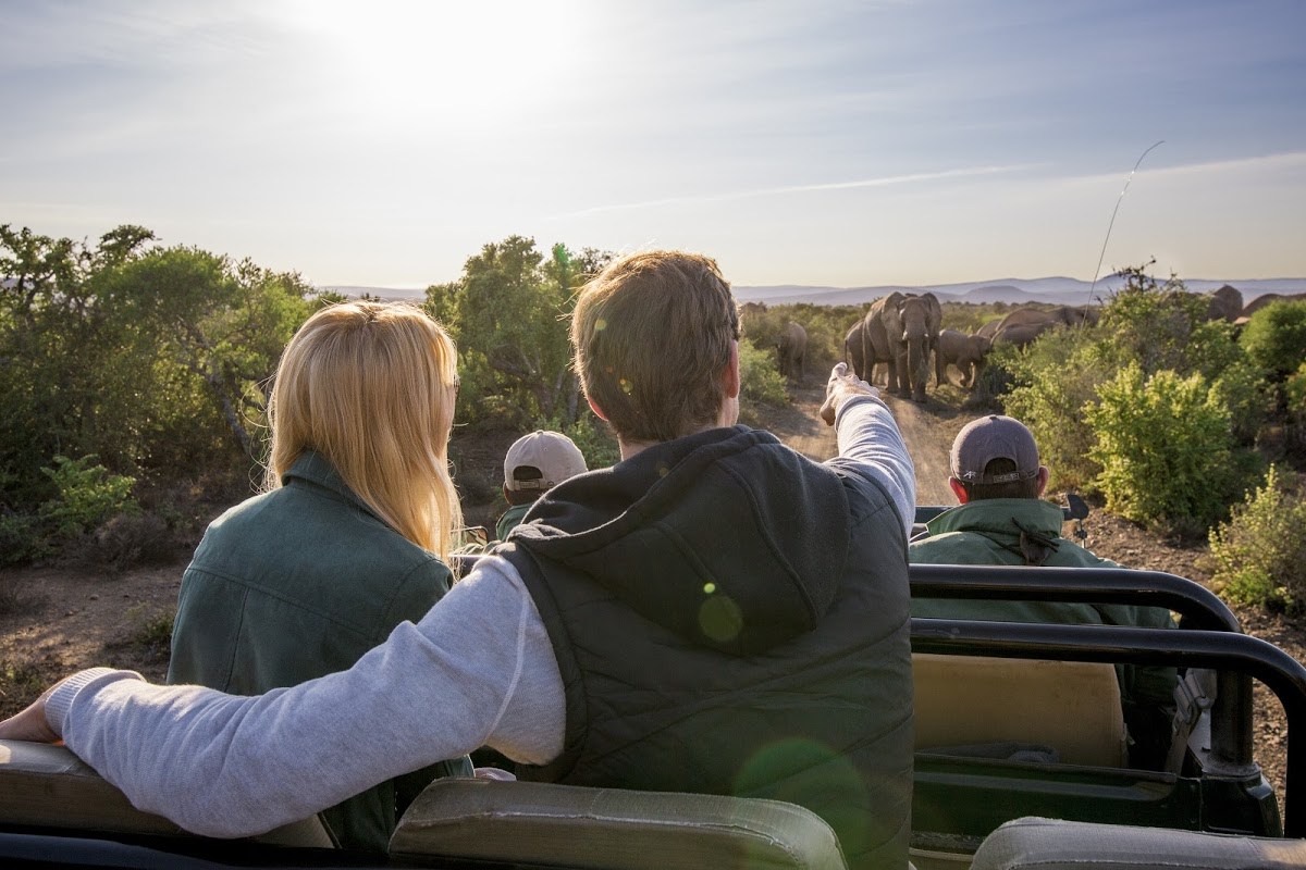 Paar auf Safari auf ihrem Garden Route Roadtrip