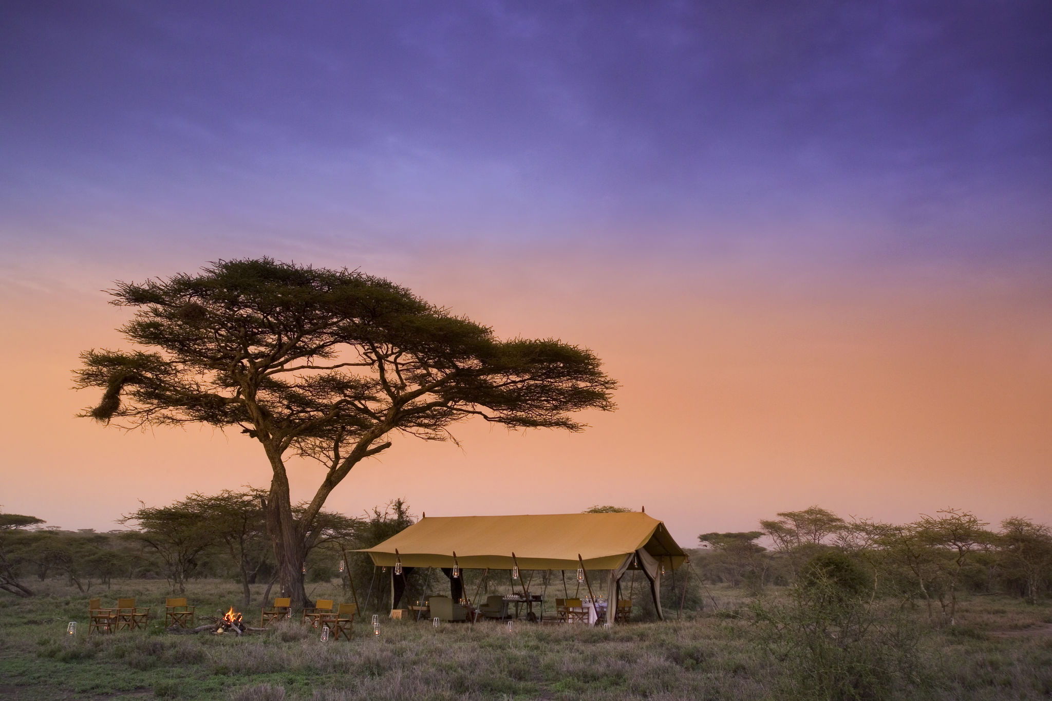 Guest Area tent at &Beyond Serengeti Under Canvas, Tanzania