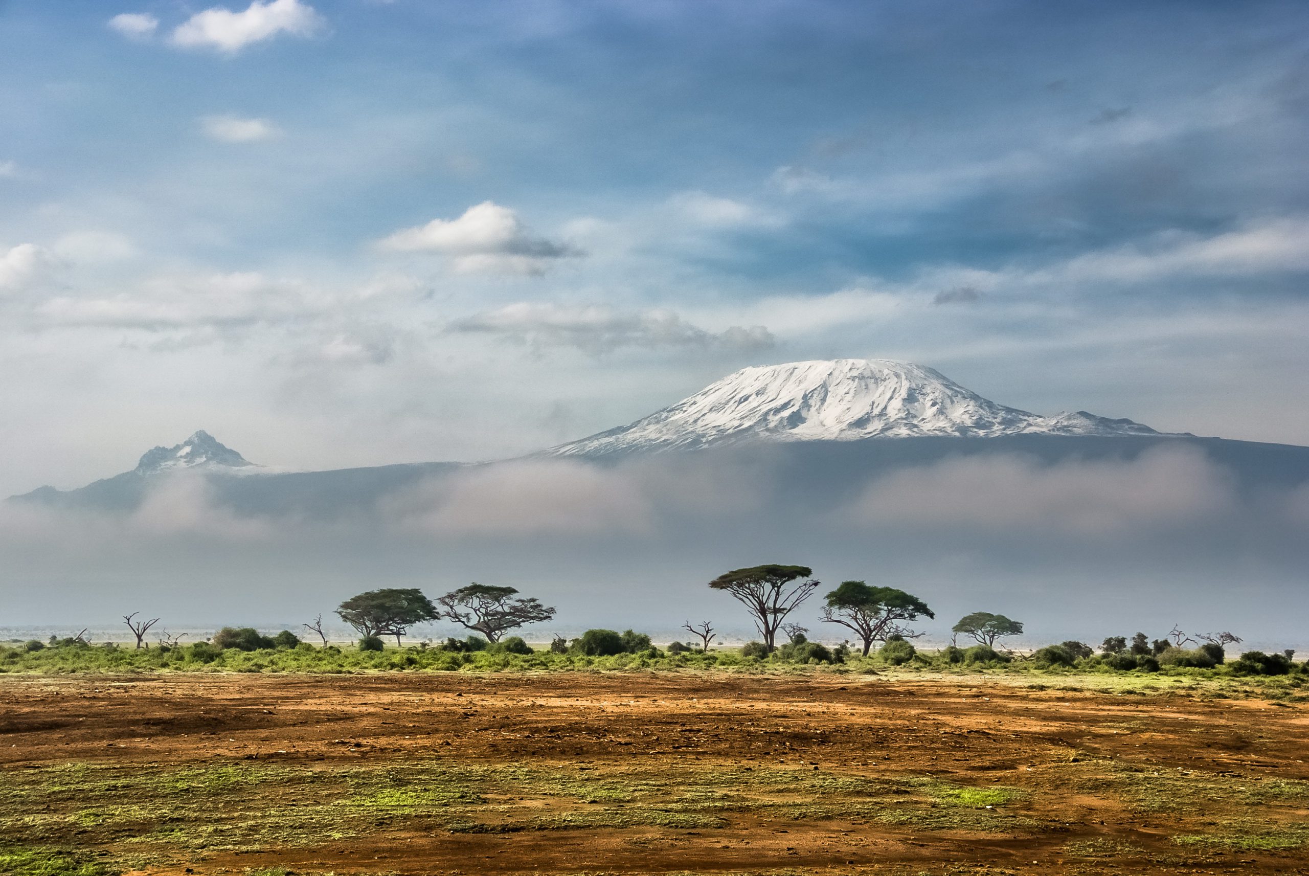 Die malerische Savanne in Kenia mit Bäumen und dem Kilimanjaro im Hintergrund