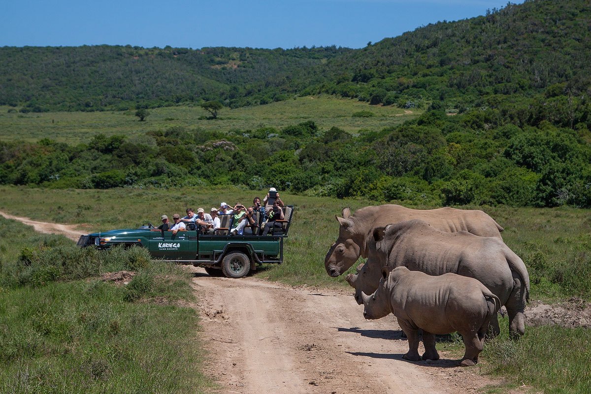 Empacar para un safari es tan emocionante como estar entre la vida salvaje