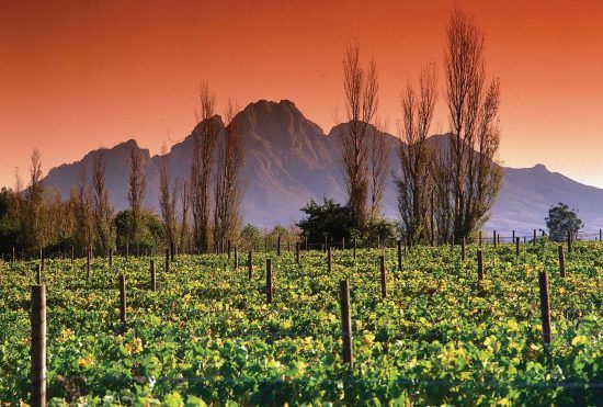 Experience the luxury of privacy in Franschhoek