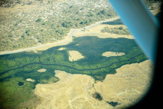 Aerial view of the Okavango Delta in Botswana