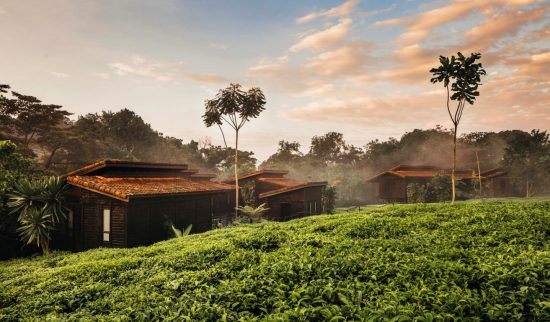 Die Lodge One&Only Nyungwe House im Dschungel von Ruanda