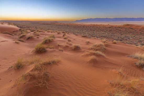 Der rote Sand der Kalahari Wüste in Botswana