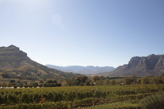 Die malerischen Weinberge von Stellenbosch im Kap-Weinland