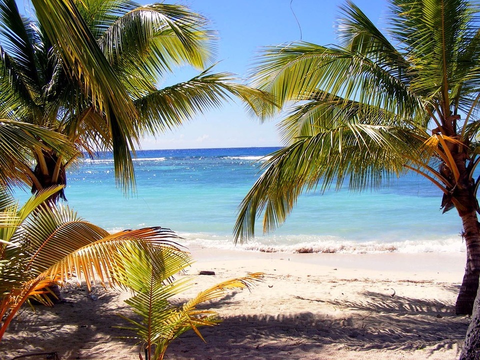 The beach with palm trees in Kenya