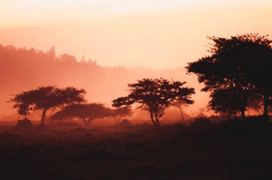 Park bei Sonnenuntergang