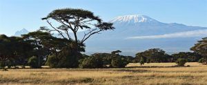 S'émouvoir devant le Kilimanjaro à la frontière tanzanienne lors d'un voyage au Kenya.