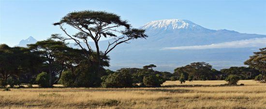 Landschaft des Amboseli Nationalparks mit schneebedecktem Kilimanjaro im Hintergrund