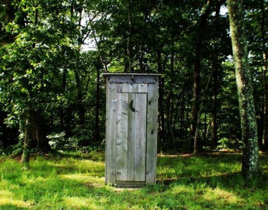 Eine Toilette mitten im grünen Wald