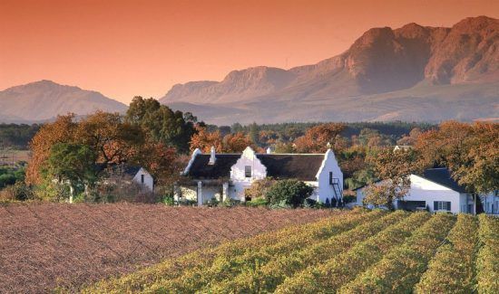 Vistas desde los viñedos de Paarl. 