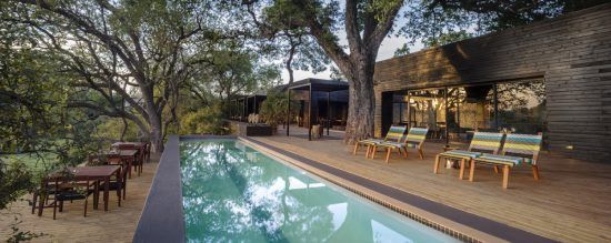 Silvan Safari's lap pool at the main lodge in Sabi Sand, Kruger