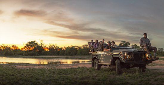 On safari in Kruger's Sabi Sand Reserve with Silvan Safari