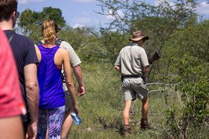 Eine Gruppe folgt einem Ranger mit Waffe durch den Busch - Lukimbi Safari Lodge