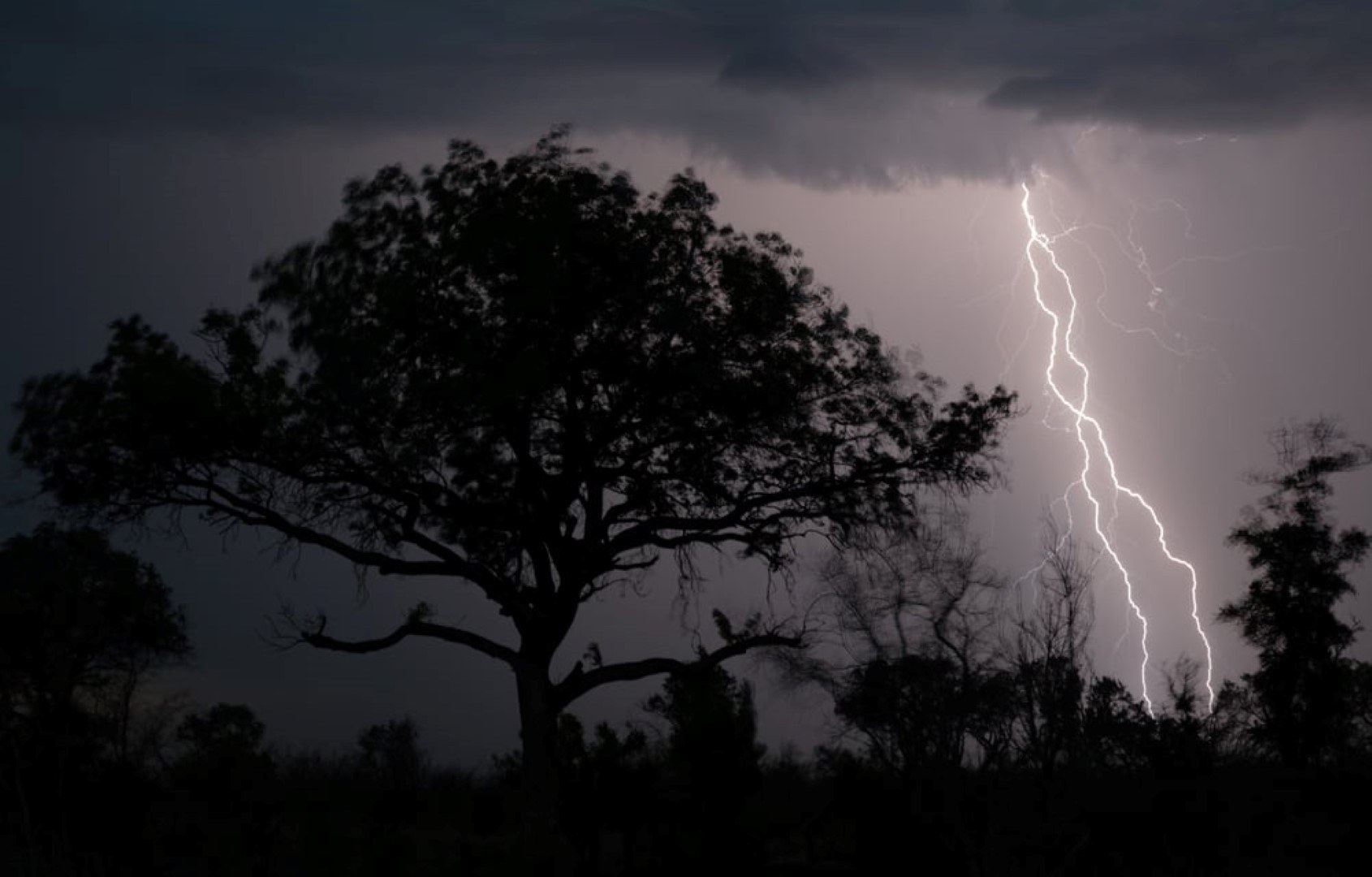 Orage sur le Parc Kruger