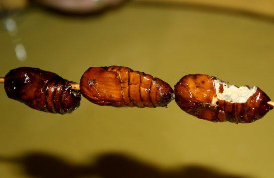 Gegrillte Insekten am Spieß in Sambia