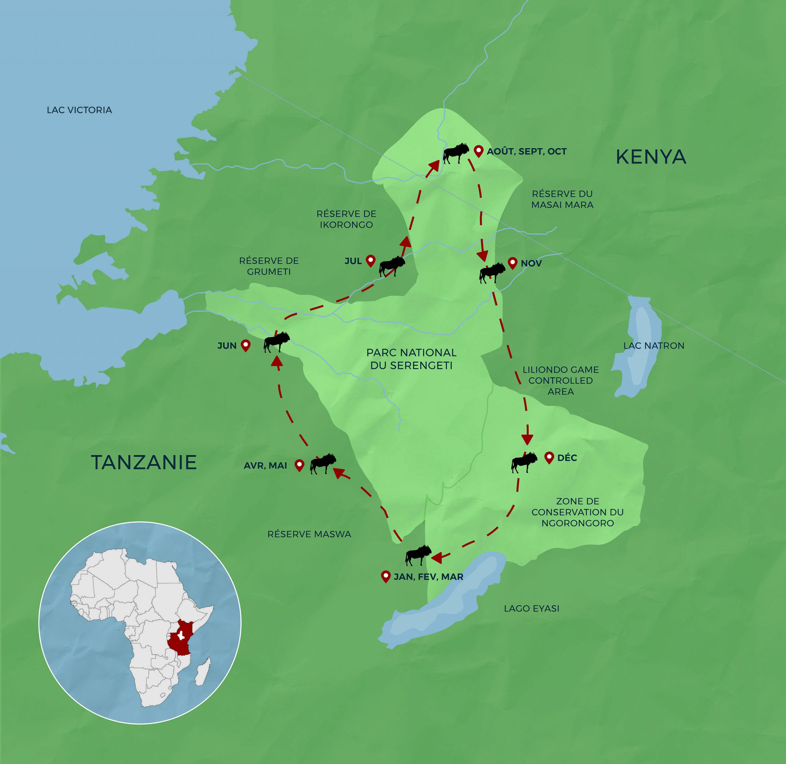 Carte de la Grande Migration et son trajet entre la Tanzanie et le Kenya.