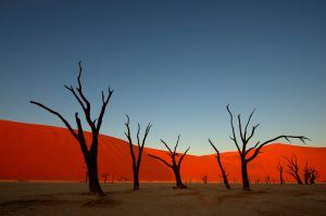 Vue des dunes rouges du Namib le soir