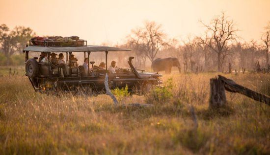 Personen in einem offenen Geländewagen mitten im afrikansichen Busch bei Sonnenuntergang