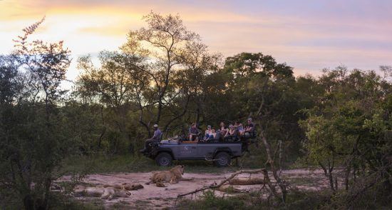 Safári em veículoi 4x4 em Silvan Safari, Reserva Sabi Sand, África do Sul. Foto: Silvan Safari