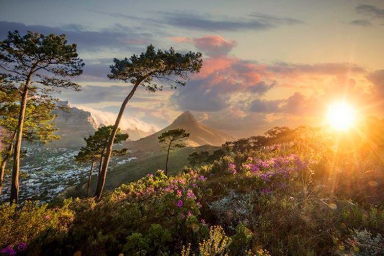 Photo du finaliste de la catégorie 2017 "Le Cap", Alexander Hill.