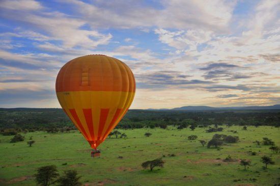 El Parque Nacional Kruger, uno de los destinos favoritos para hacer un safari